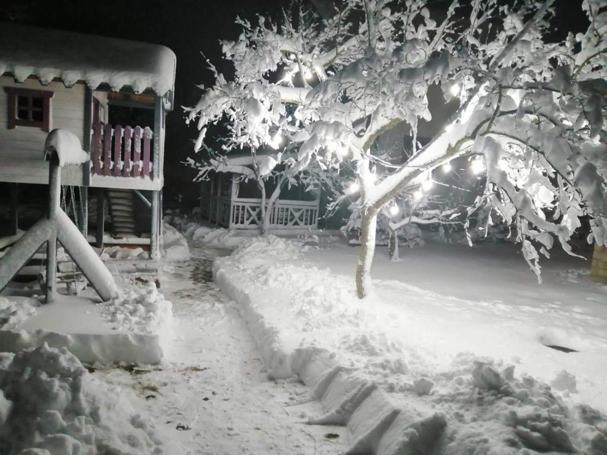 Фенікс Hotel Yaremche Luaran gambar